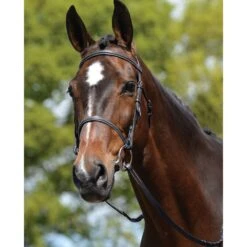 Kincade Plain Raised Bridle -Equestrian Sports 168135 black 3