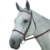 Kincade Plain Raised Bridle -Equestrian Sports 168135 4
