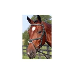 Nunn Finer Figure 8 Bridle -Equestrian Sports 1960021 blackzinc