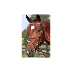 Nunn Finer Figure 8 Bridle -Equestrian Sports 1960021 havabrass 1
