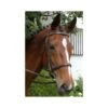 Nunn Finer Event Bridle -Equestrian Sports 200446 1