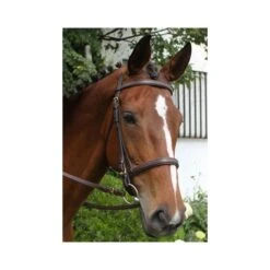 Nunn Finer Event Bridle