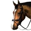 M. Toulouse Platinum Flash/Crank Dressage Bridle -Equestrian Sports 200827 1