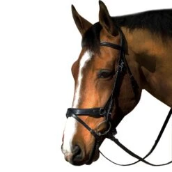 M. Toulouse Platinum Flash/Crank Dressage Bridle