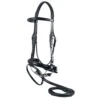 Toulouse Dressage Bridle