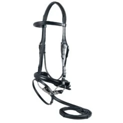 Toulouse Dressage Bridle