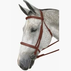 HDR Pro Mono Crown Fancy Padded Bridle -Equestrian Sports 201275 australiannut 5
