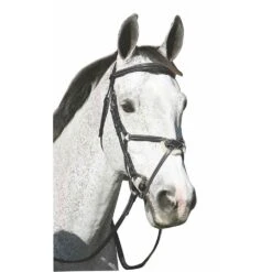 HDR Pro Mono Crown Figure 8 Bridle With Reins - BlackOversize