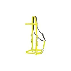 Weaver Leather Weaver Brahma Webb Halter/Bridle -Equestrian Sports 202502 yellow