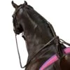 Kincade Anti-Grazing Straps -Equestrian Sports 202640 1