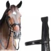 HDR Piaffe Mono Crown Dressage Bridle -Equestrian Sports 204648 3