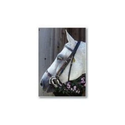 Nunn Finer Adjustable Lever Noseband -Equestrian Sports 205704 havana 1