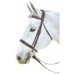 HDR Pro Mono Crown Fancy Bridle 7 HDR Pro Mono Crown Fancy Bridle -Equestrian Sports 205760 havana 1