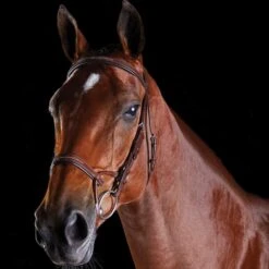 Collegiate Comfitec Fancy Stitched Bridle -Equestrian Sports 206143 brown