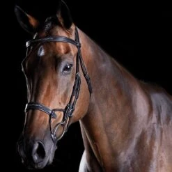Collegiate Comfitec Fancy Stitched Bridle