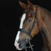 Collegiate Padded Raised Cavesson Bridle