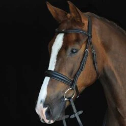 Collegiate Padded Raised Cavesson Bridle