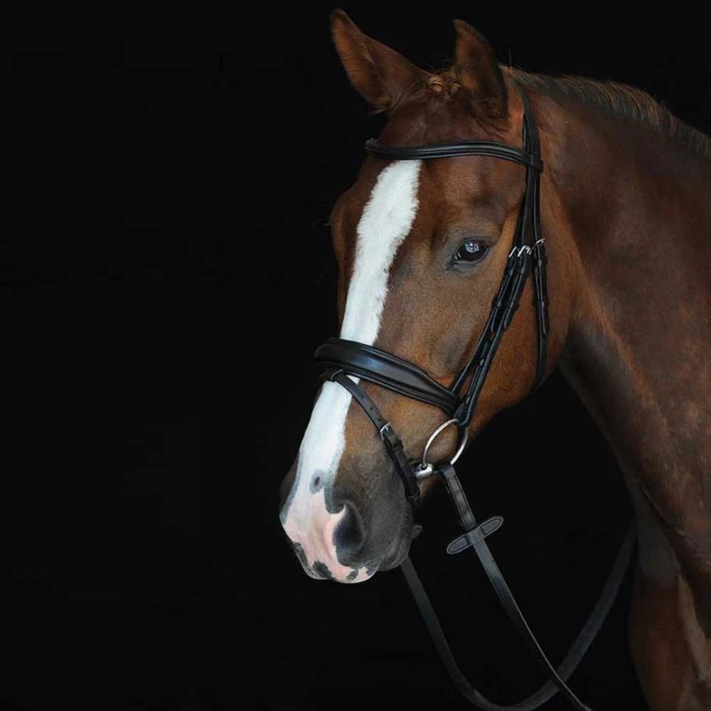 Collegiate Monocrown Padded Raised Flash Bridle 4 Collegiate Monocrown Padded Raised Flash Bridle - Image 2