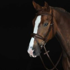 Collegiate Monocrown Padded Raised Flash Bridle 7 Collegiate Monocrown Padded Raised Flash Bridle -Equestrian Sports 206160 brown 3