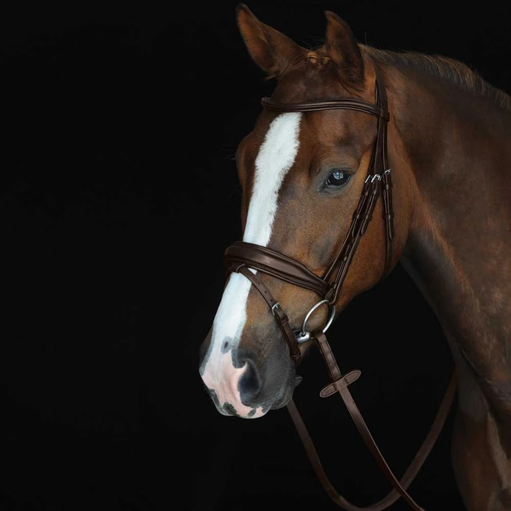 Collegiate Monocrown Padded Raised Flash Bridle 5 Collegiate Monocrown Padded Raised Flash Bridle - Image 3