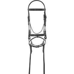 Camelot Lined Bridle