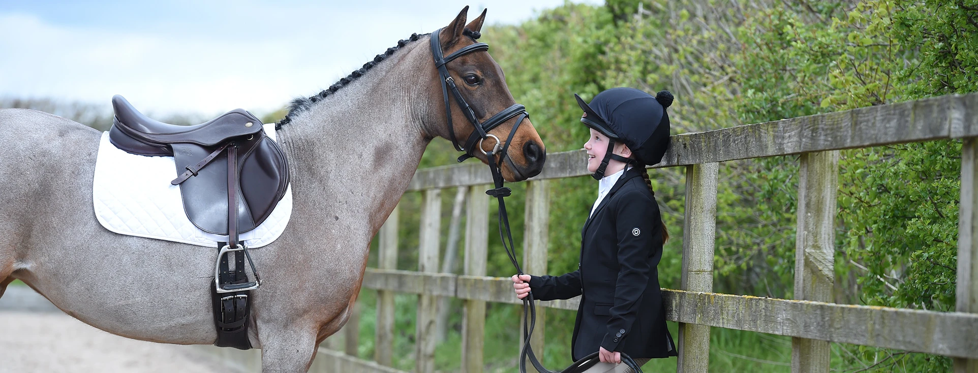 Equestrian Sports -Equestrian Sports 3