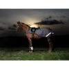 Amigo Reflectech Competition Sheet - Grey/Black -Equestrian Sports 313276 800 800