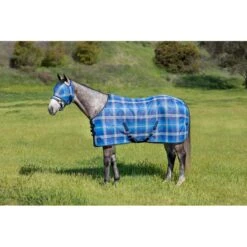 Kensington Signature Fly Mask W/Web Trim - Kentucky Blue 5 Kensington Signature Fly Mask W/Web Trim - Kentucky Blue -Equestrian Sports 358031 800 800