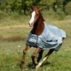 Bucas Classic Buzz Off Fly Sheet - Silver/Navy
