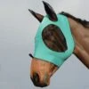 Weatherbeeta Stretch Bug Eye Saver W/Ears - Turquoise/Black 2 Weatherbeeta Stretch Bug Eye Saver W/Ears - Turquoise/Black -Equestrian Sports 413214 800 800