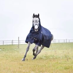 Horze Avalanche Medium Weight Combo Turnout Blanket 150g - Peacoat Dark Blue -Equestrian Sports 416964 800 800