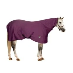 Centaur Turbo-Dry Cooler W/Neck - Orchid