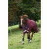 Rambo Wug Turnout 200g - Burgundy/Burgundy/Teal/Navy 2 Rambo Wug Turnout 200g - Burgundy/Burgundy/Teal/Navy -Equestrian Sports 444929 800 800