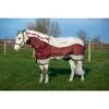Rambo Summer Series - Grey/Burgundy/Black/Burgundy 2 Rambo Summer Series - Grey/Burgundy/Black/Burgundy -Equestrian Sports 445129 800 800