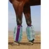 Kensington Bubble Fly Boots (Set Of 4) - Imperial Jade -Equestrian Sports 446893 800 800