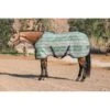 Kensington Protective Sheet SureFit - Imperial Jade -Equestrian Sports 447158 800 800