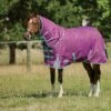 Weatherbeeta Comfitec Premier Freedom Pony Detach-A-Neck Medium - Purple/Navy/Mint 1 Weatherbeeta Comfitec Premier Freedom Pony Detach-A-Neck Medium - Purple/Navy/Mint -Equestrian Sports 447820 800 800