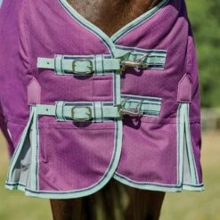 Weatherbeeta Comfitec Premier Freedom Pony Standard Neck Lite - Purple/Navy/Mint -Equestrian Sports 448599 800 800