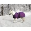 Kensington Signature Mini Medium Weight Turnout - Purple -Equestrian Sports 480921 800 800