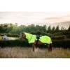Amigo Flyrider - Flourescent Yellow 2 Amigo Flyrider - Flourescent Yellow -Equestrian Sports 485363 800 800