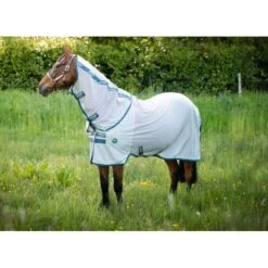 Amigo AmEco Bug Rug - Silver/Teal