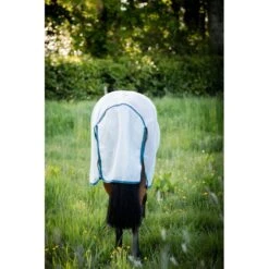 Amigo AmEco Bug Rug - Silver/Teal 9 Amigo AmEco Bug Rug - Silver/Teal -Equestrian Sports 488782 800 800