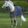 Amigo Polyester Stable Sheet - Excalibur/Orange 1 Amigo Polyester Stable Sheet - Excalibur/Orange -Equestrian Sports 505206 800 800