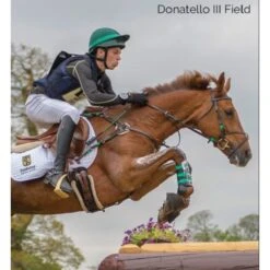 Tredstep Donatello III Field Boot - Black -Equestrian Sports 524639 800 800