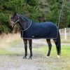 Finntack Pritex Summer Sheet - Black/Black/White/Silver -Equestrian Sports 552654 800 800
