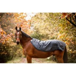 Rambo Autumn Series - Navy/Grey -Equestrian Sports 556634 800 800