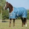 Weatherbeeta Comfitec Essential Standard Neck Medium - Teal Blue/Cream/Sage Green 1 Weatherbeeta Comfitec Essential Standard Neck Medium - Teal Blue/Cream/Sage Green -Equestrian Sports 579674 800 800