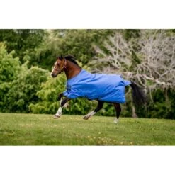 Amigo Hero Ripstop Turnout 0g - Blue/Navy/Grey -Equestrian Sports 606684 800 800