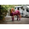 Rambo Travel Series - Burgundy/Teal/Navy 1 Rambo Travel Series - Burgundy/Teal/Navy -Equestrian Sports 606785 800 800
