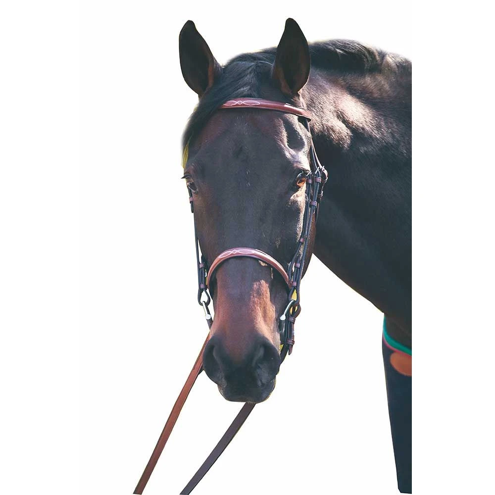 HDR Advantage Fancy Raised Bridle 3 HDR Advantage Fancy Raised Bridle